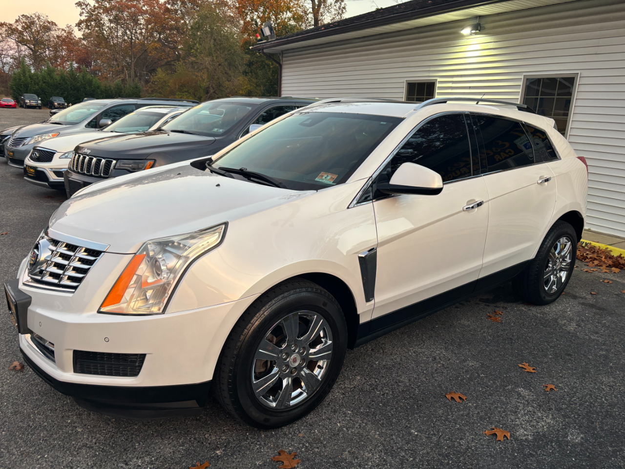 2014 Cadillac SRX Luxury photo 3