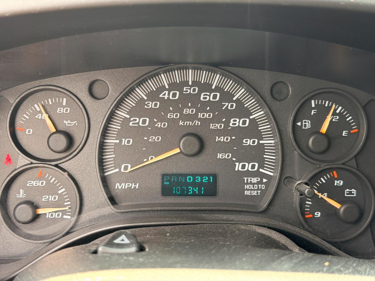Chevrolet Express LS 1500 AWD 2007