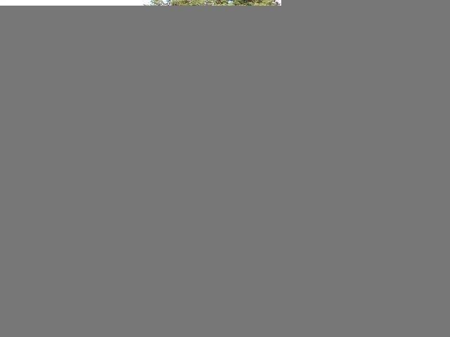Toyota 4Runner 4WD 4dr V6 Trail Premium (Natl) 2016