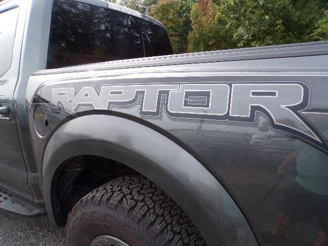 Ford F-150 Raptor 4WD SuperCrew 5.5' Box 2017