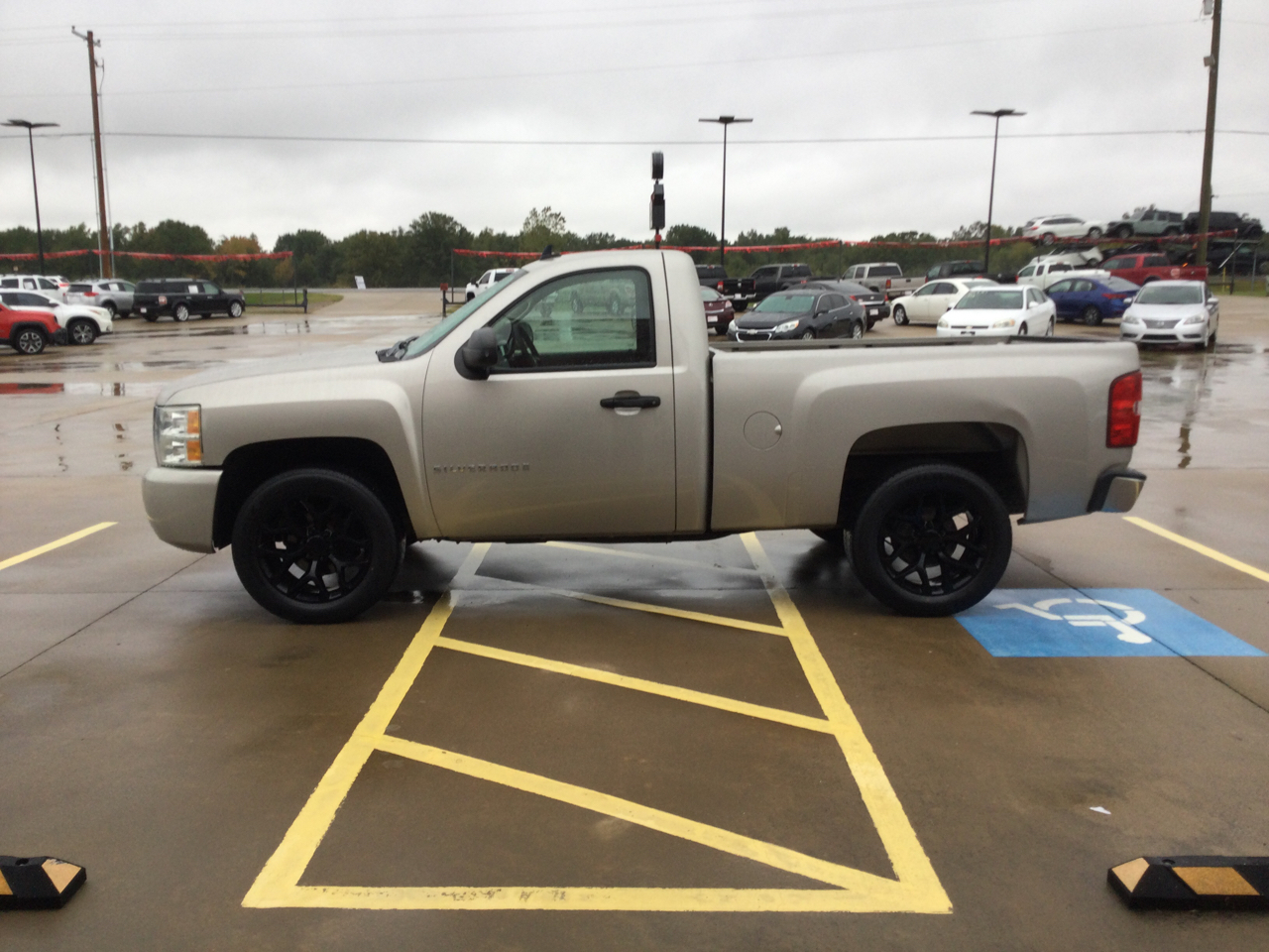 Chevrolet Silverado 1500 2WD Reg Cab 119.0" Work Truck 2008 Chevrolet Silverado 1500 2WD Reg Cab 119.0" Work Truck 2008