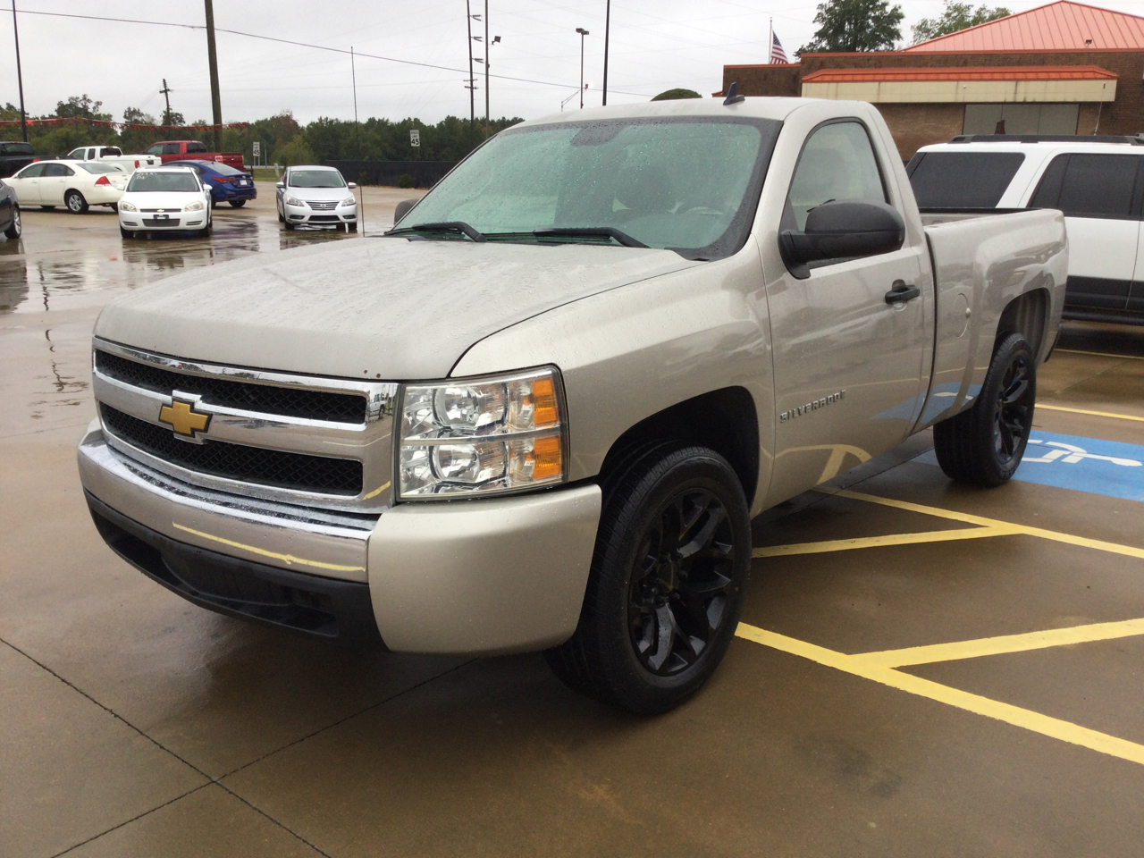Chevrolet Silverado 1500 2WD Reg Cab 119.0" Work Truck 2008 Chevrolet Silverado 1500 2WD Reg Cab 119.0" Work Truck 2008