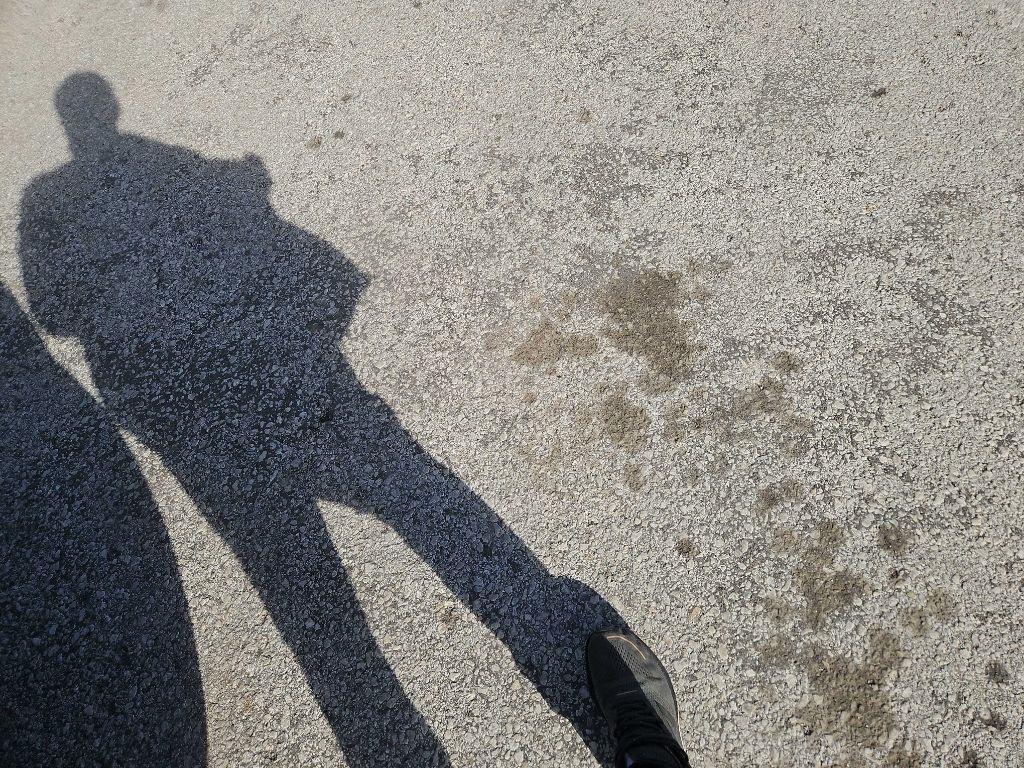 Acura MDX 9-Spd AT SH-AWD w/Tech, Entert. & AcuraWatch Plus 2016