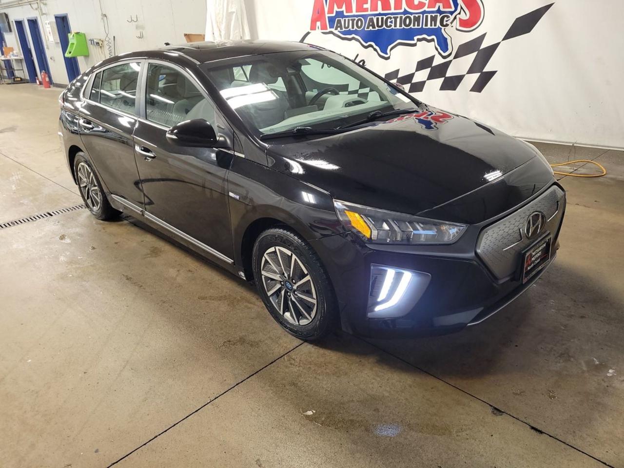 Hyundai Ioniq Electric Limited 2020