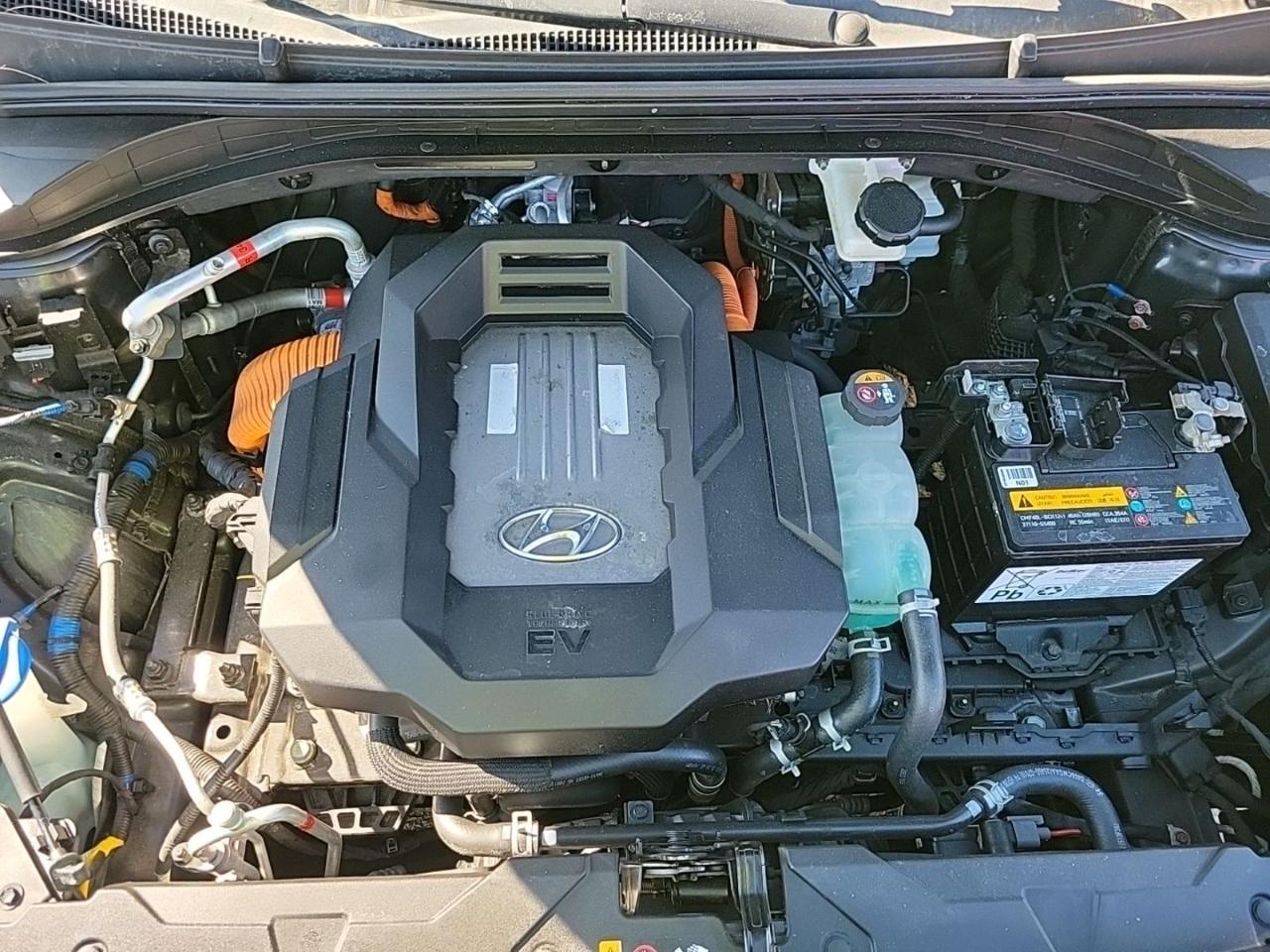 Hyundai Ioniq Electric Limited 2020