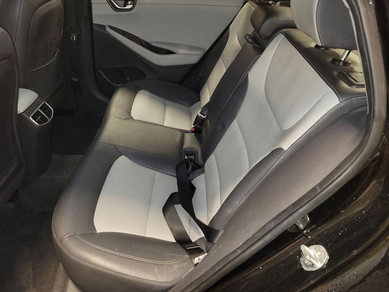 Hyundai Ioniq Electric Limited 2020