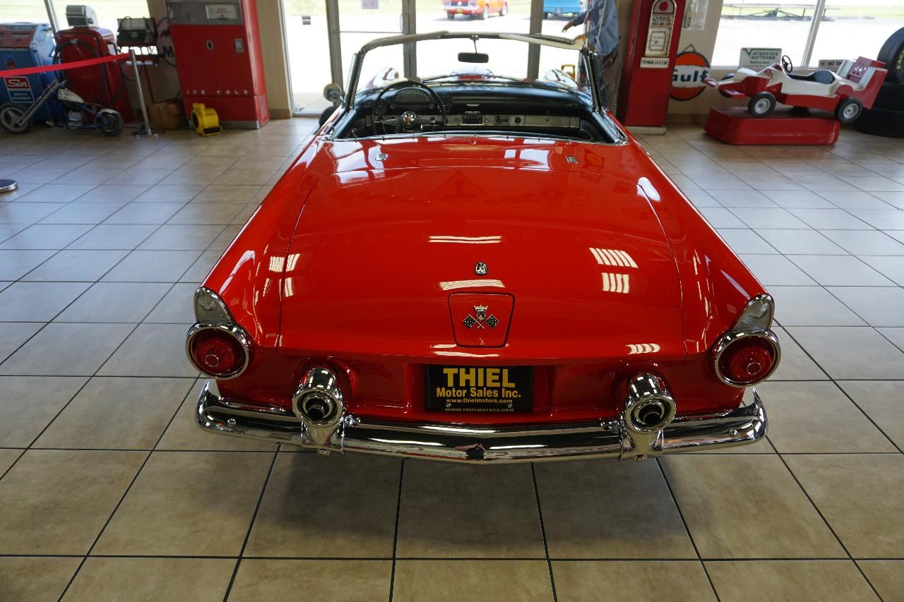 Ford Thunderbird  1955