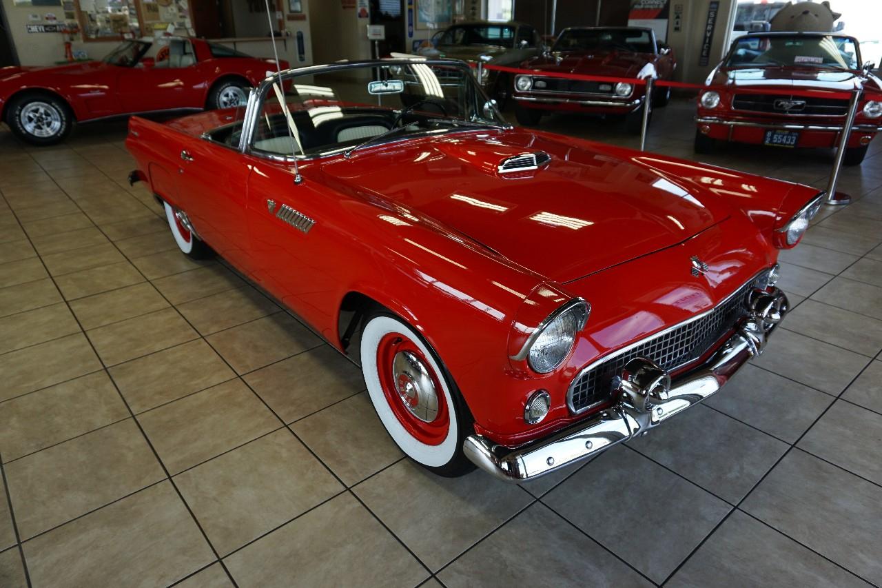 Ford Thunderbird  1955