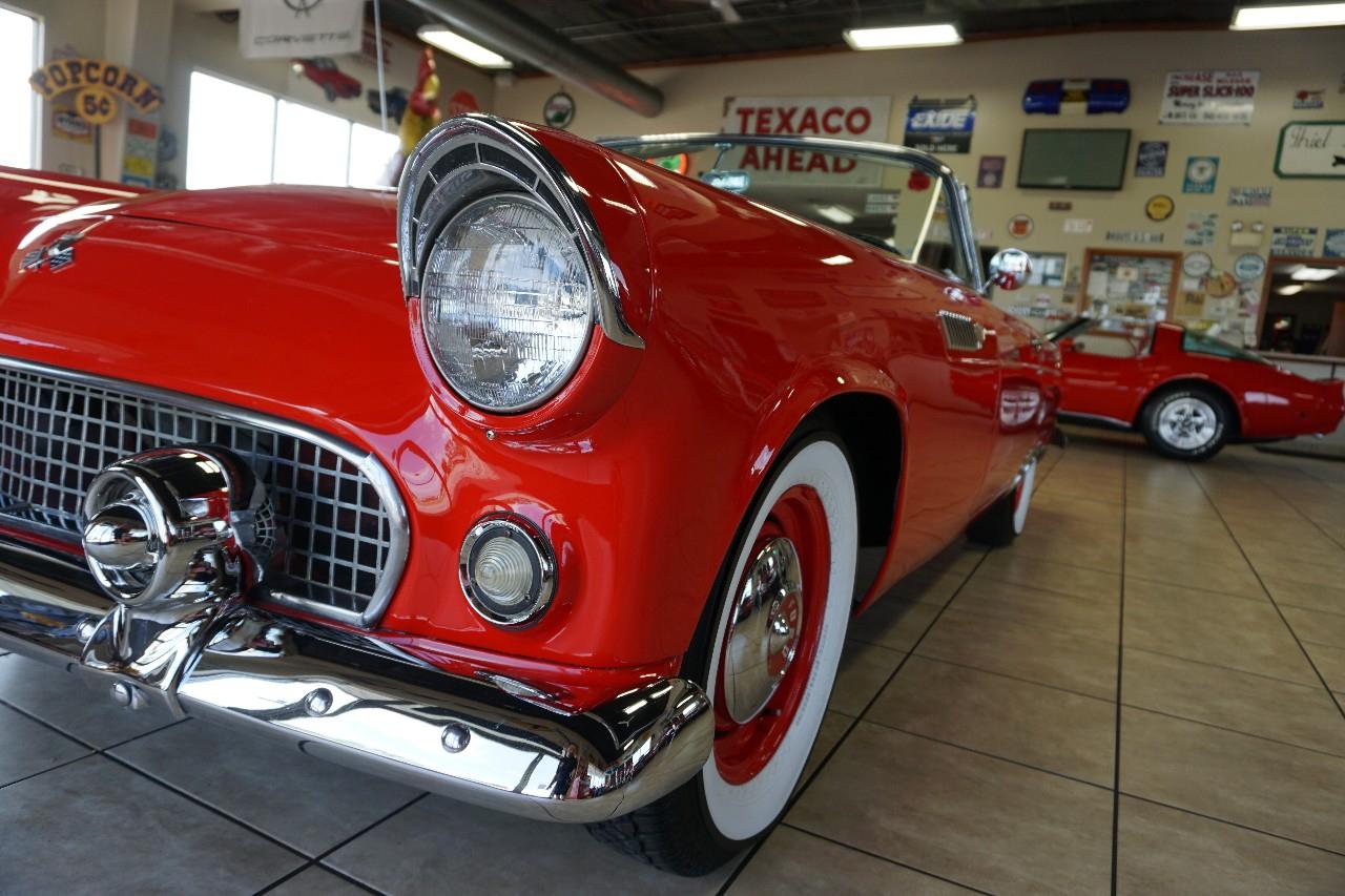Ford Thunderbird  1955