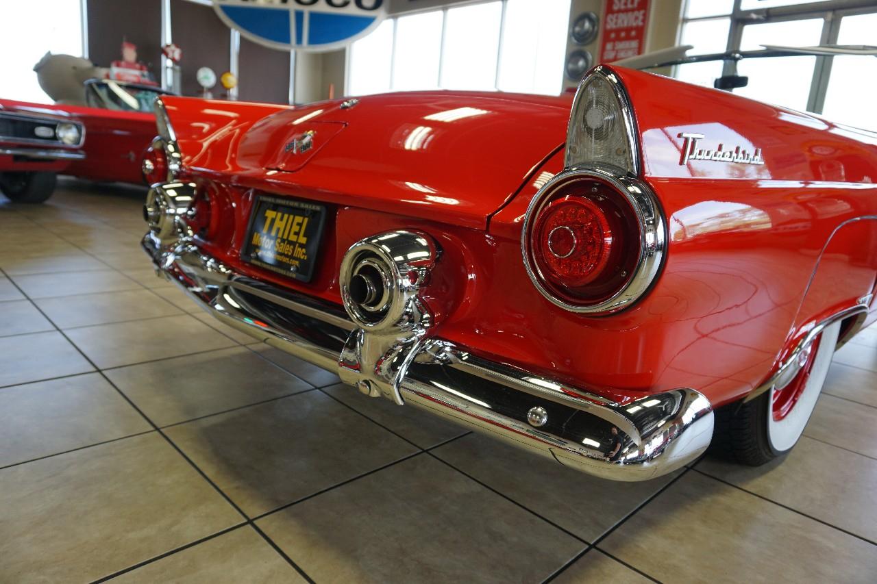 Ford Thunderbird  1955