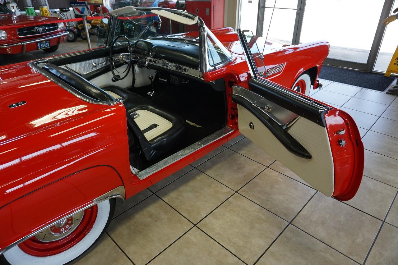 Ford Thunderbird  1955