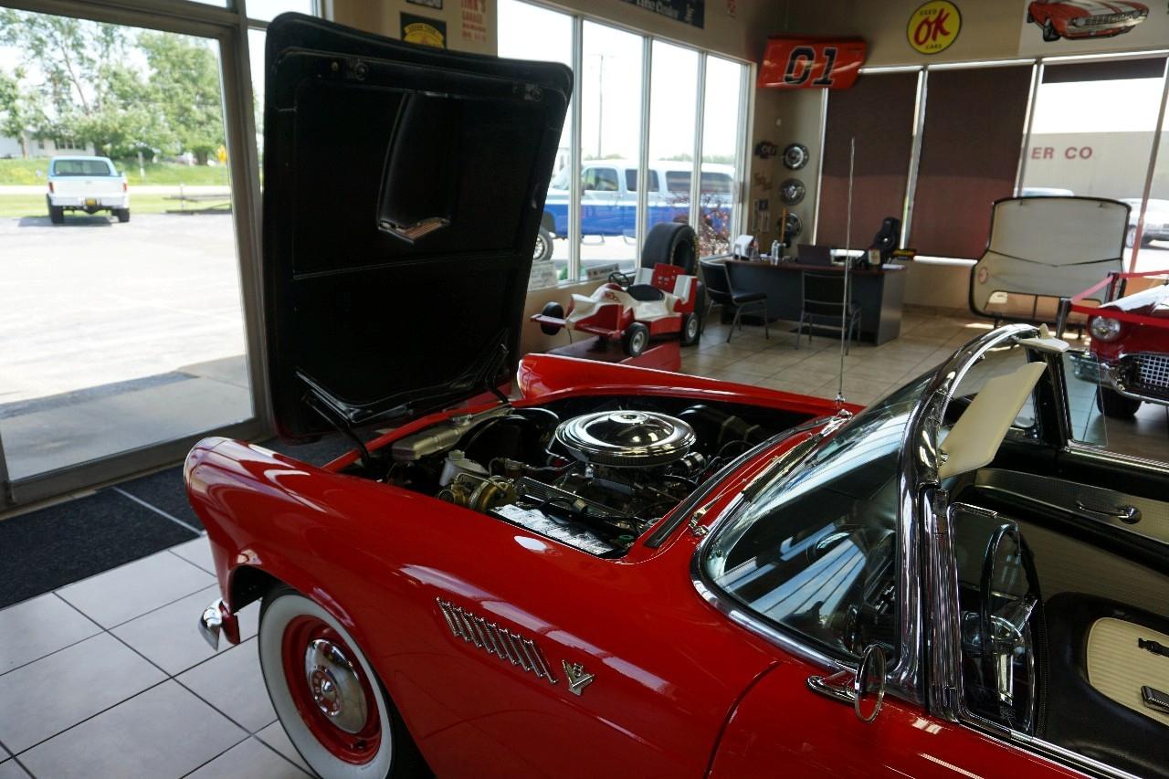 Ford Thunderbird  1955