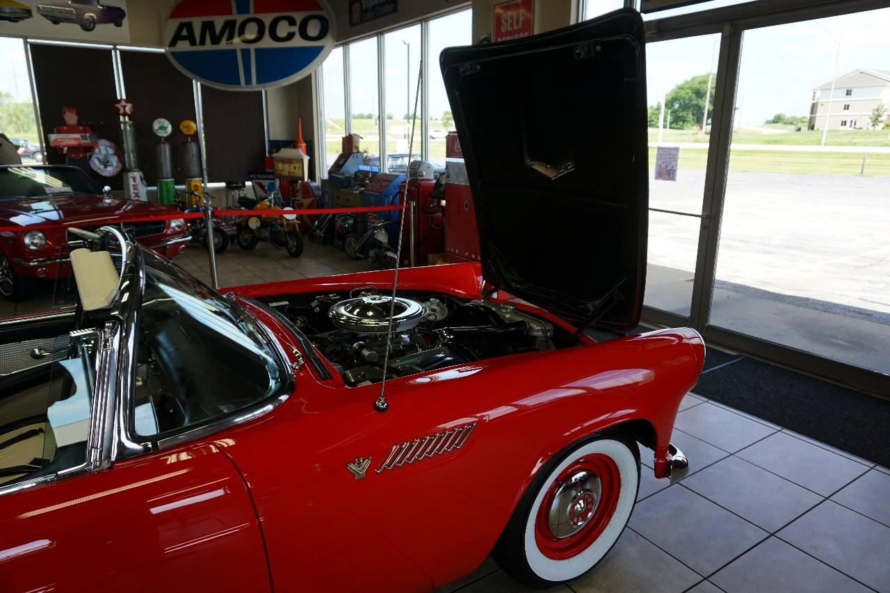 Ford Thunderbird  1955