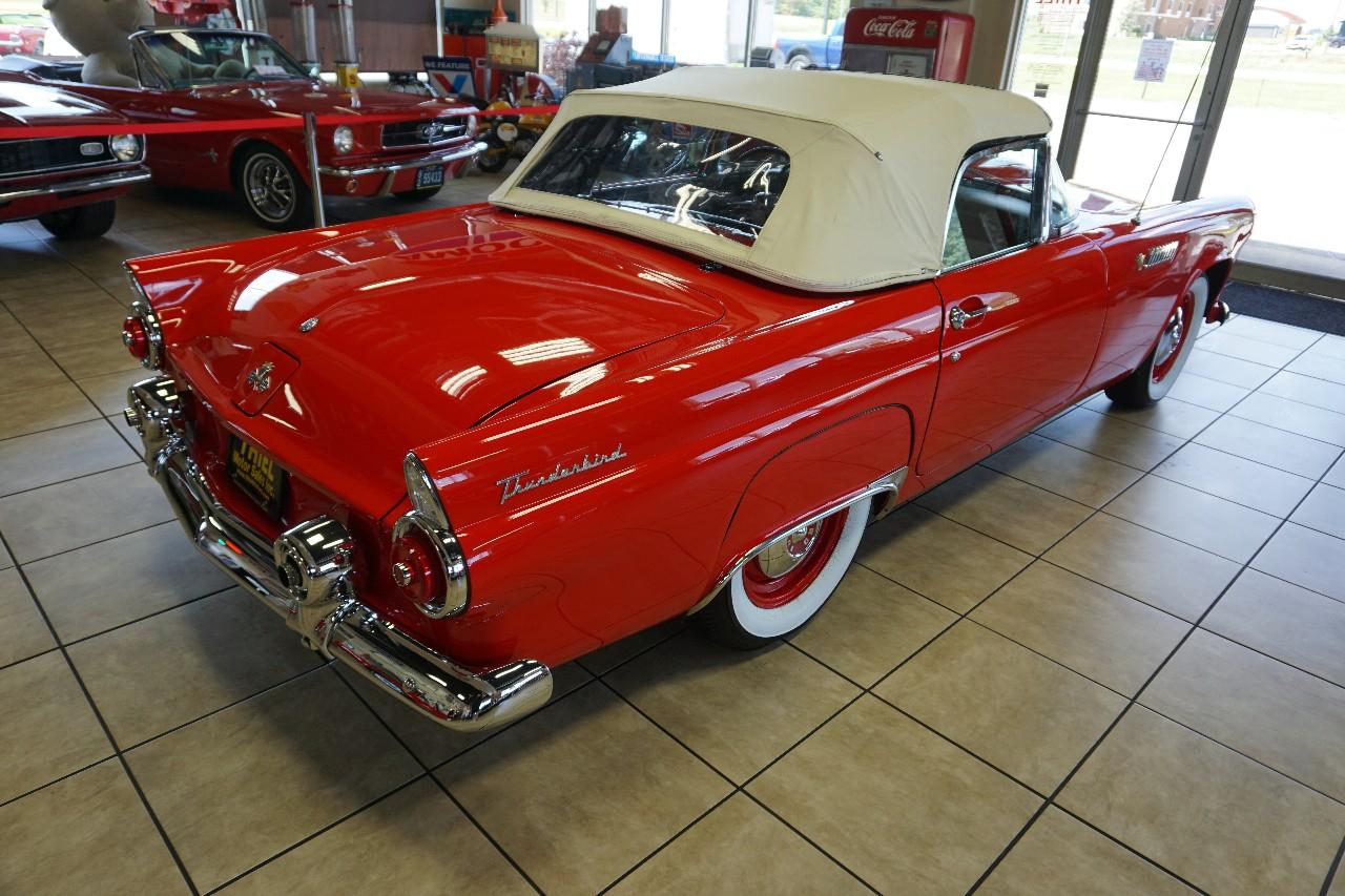 Ford Thunderbird  1955