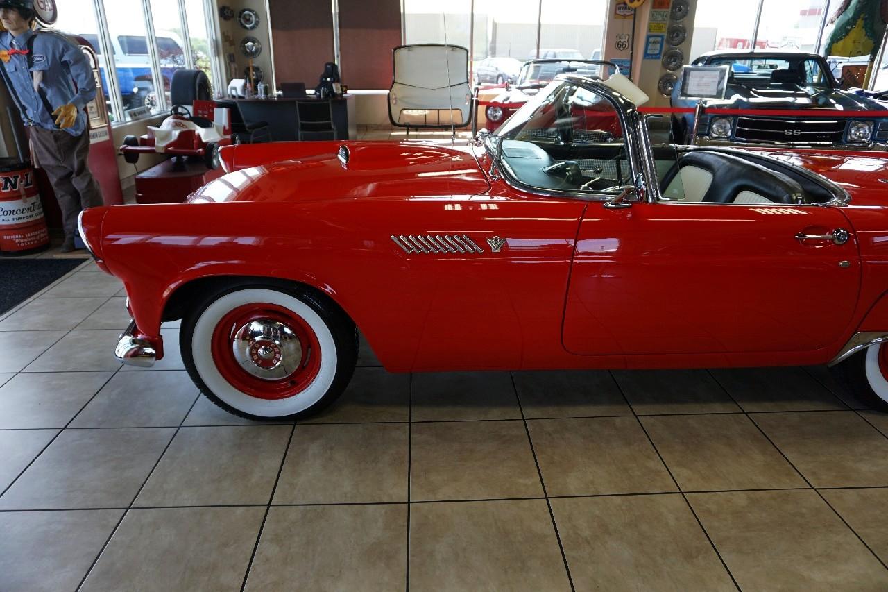 Ford Thunderbird  1955