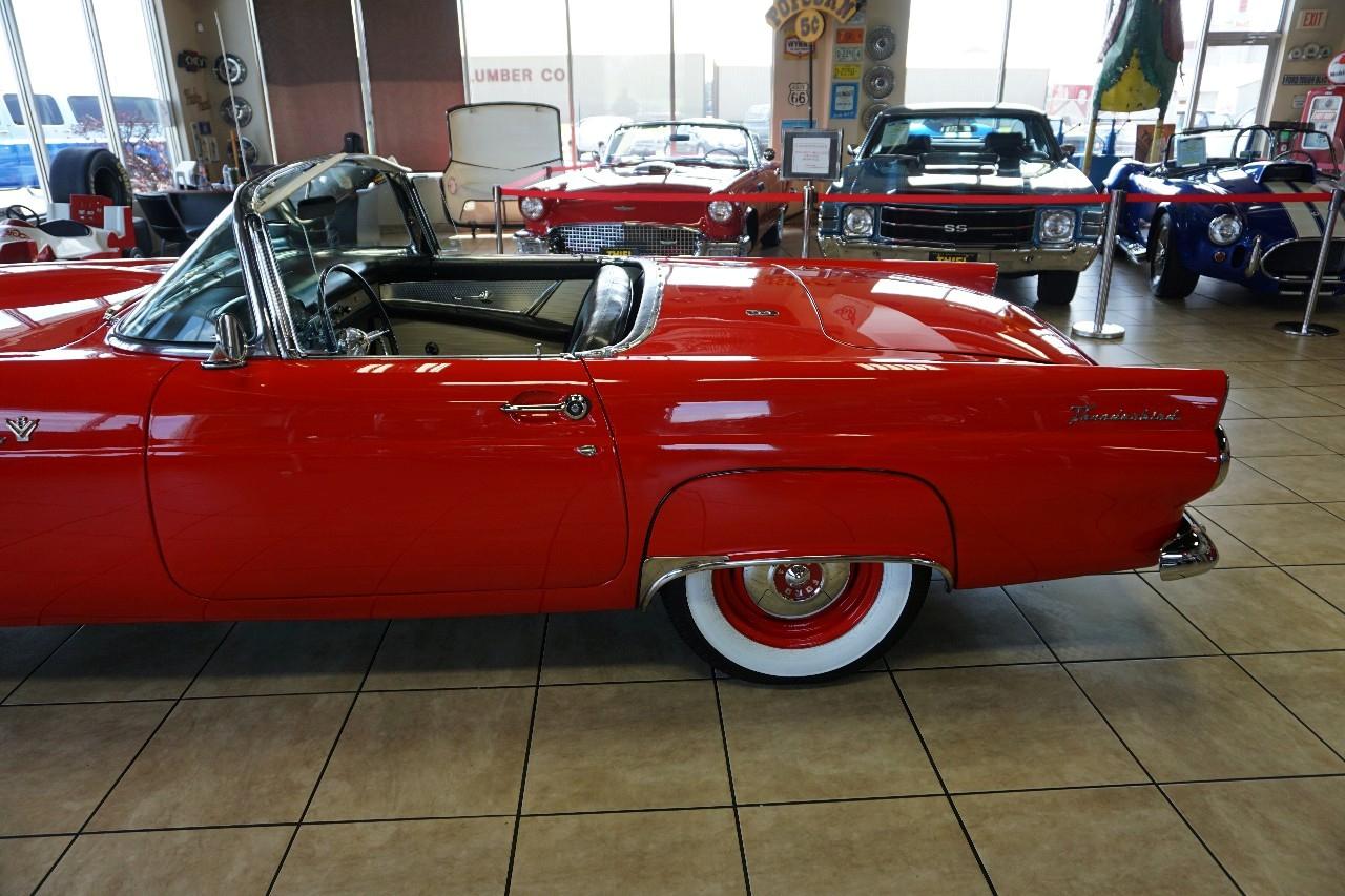Ford Thunderbird  1955