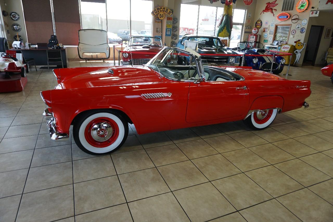 Ford Thunderbird  1955