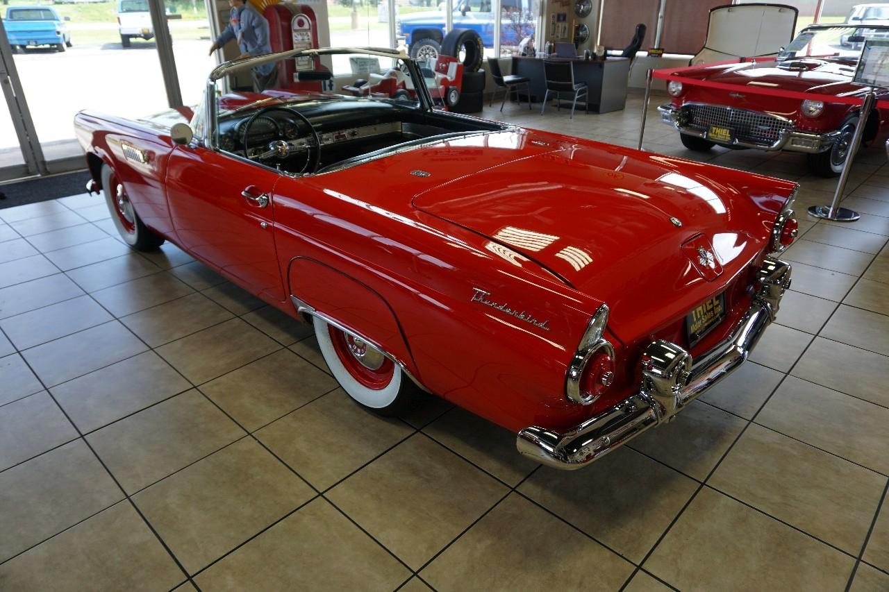 Ford Thunderbird  1955