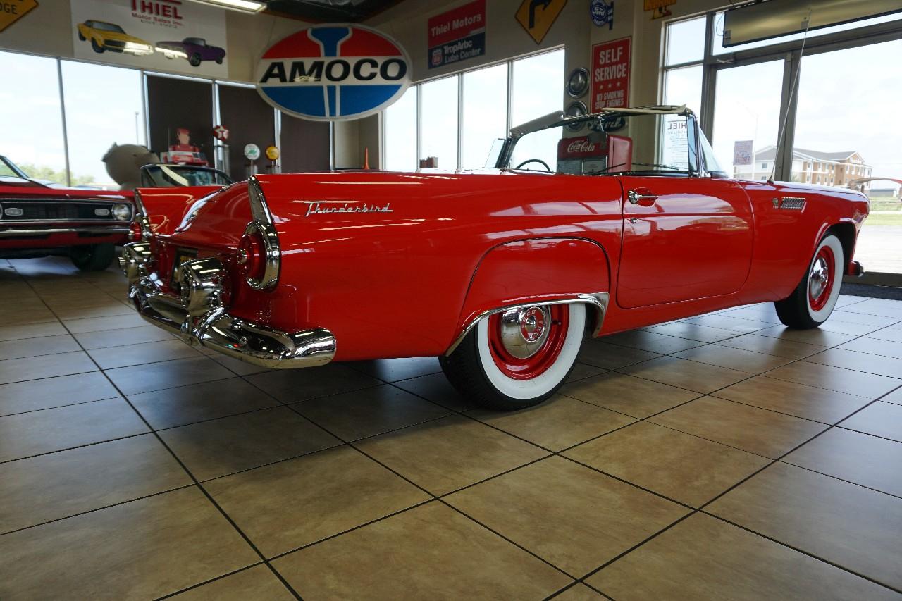 Ford Thunderbird  1955