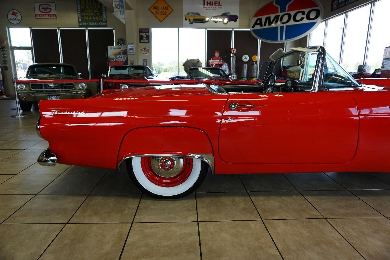 Ford Thunderbird  1955