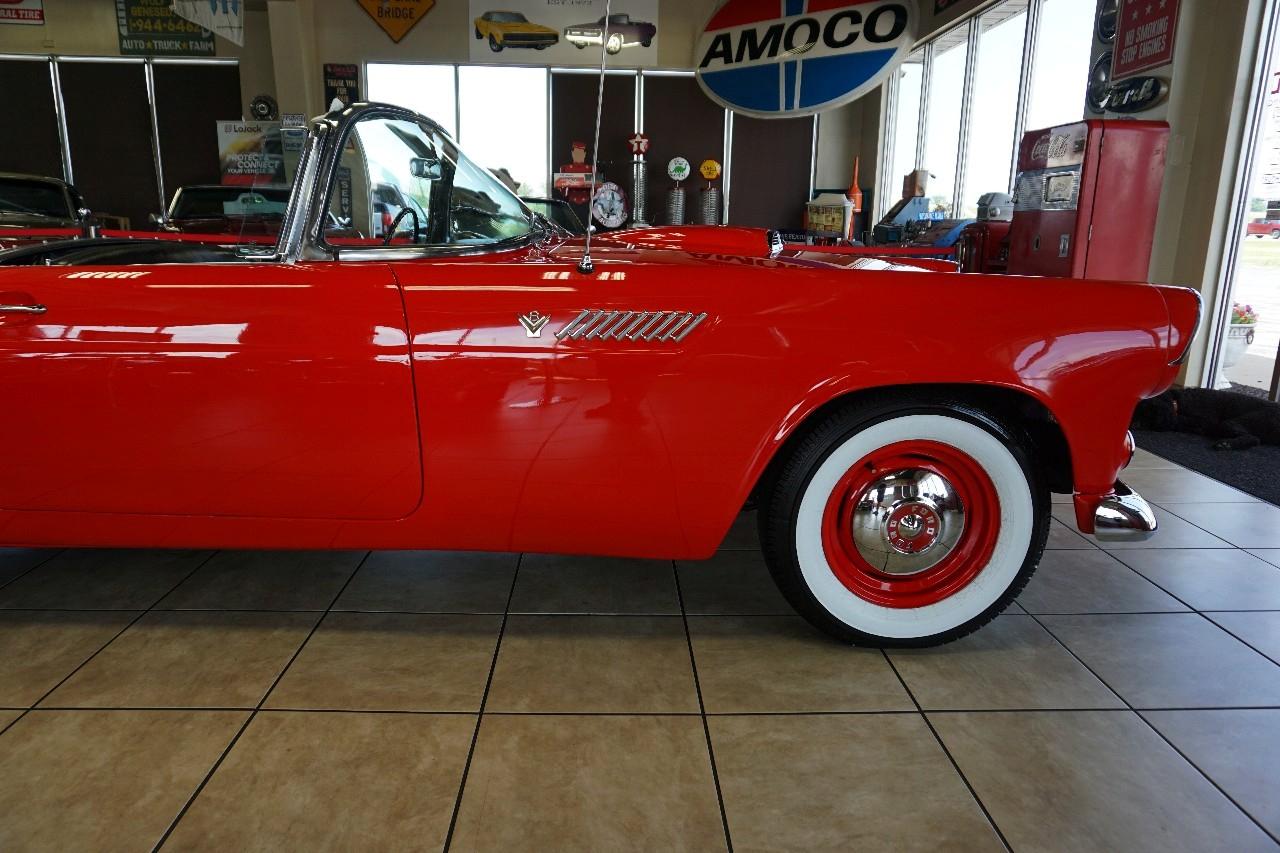 Ford Thunderbird  1955
