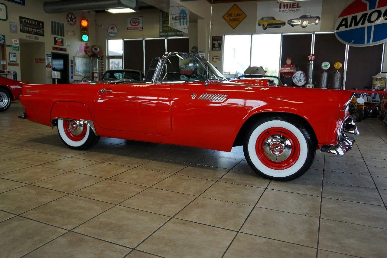 Ford Thunderbird  1955