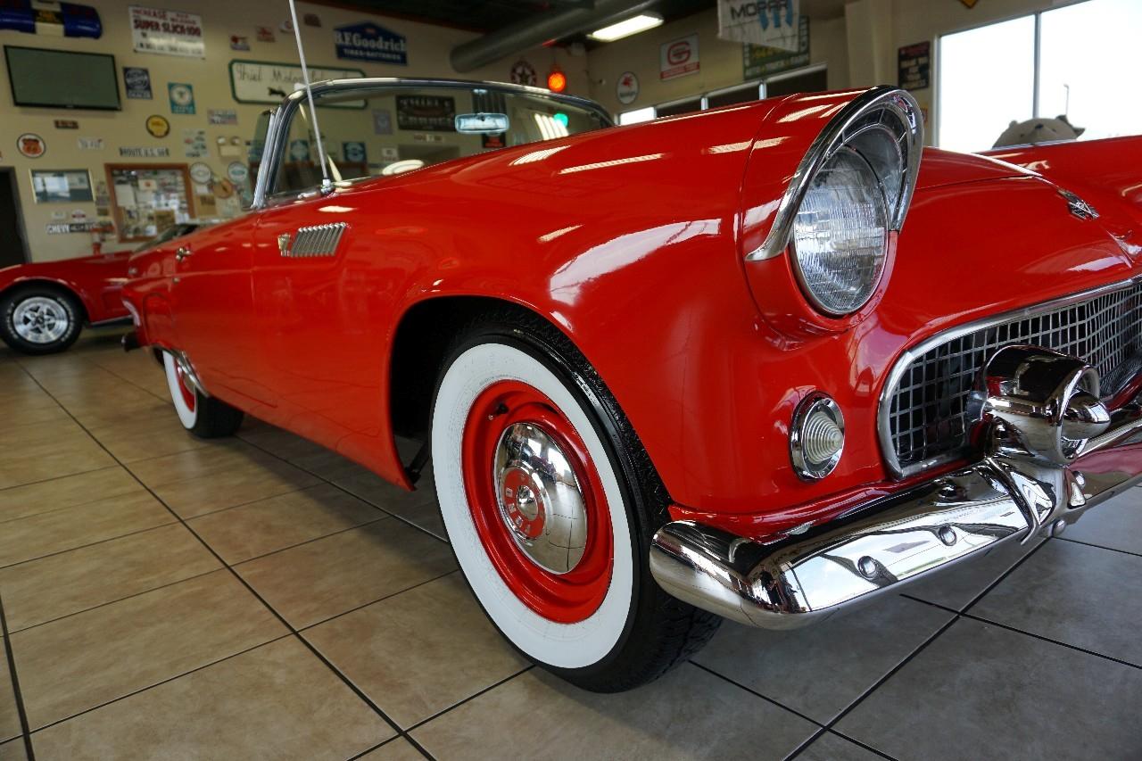 Ford Thunderbird  1955