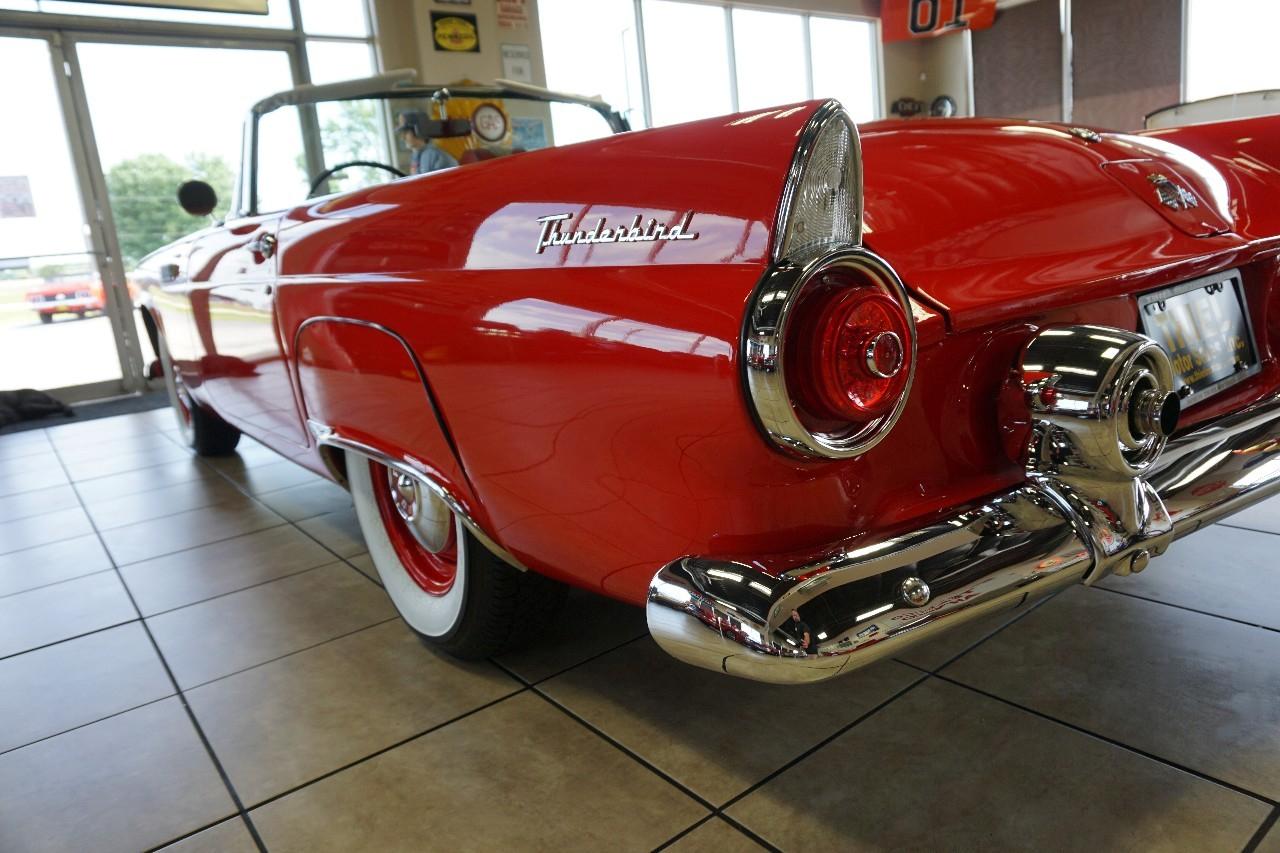 Ford Thunderbird  1955