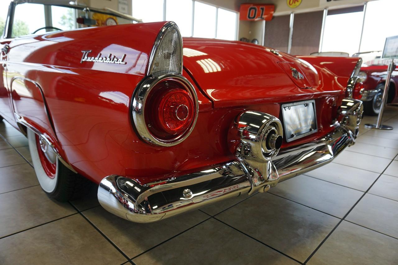 Ford Thunderbird  1955