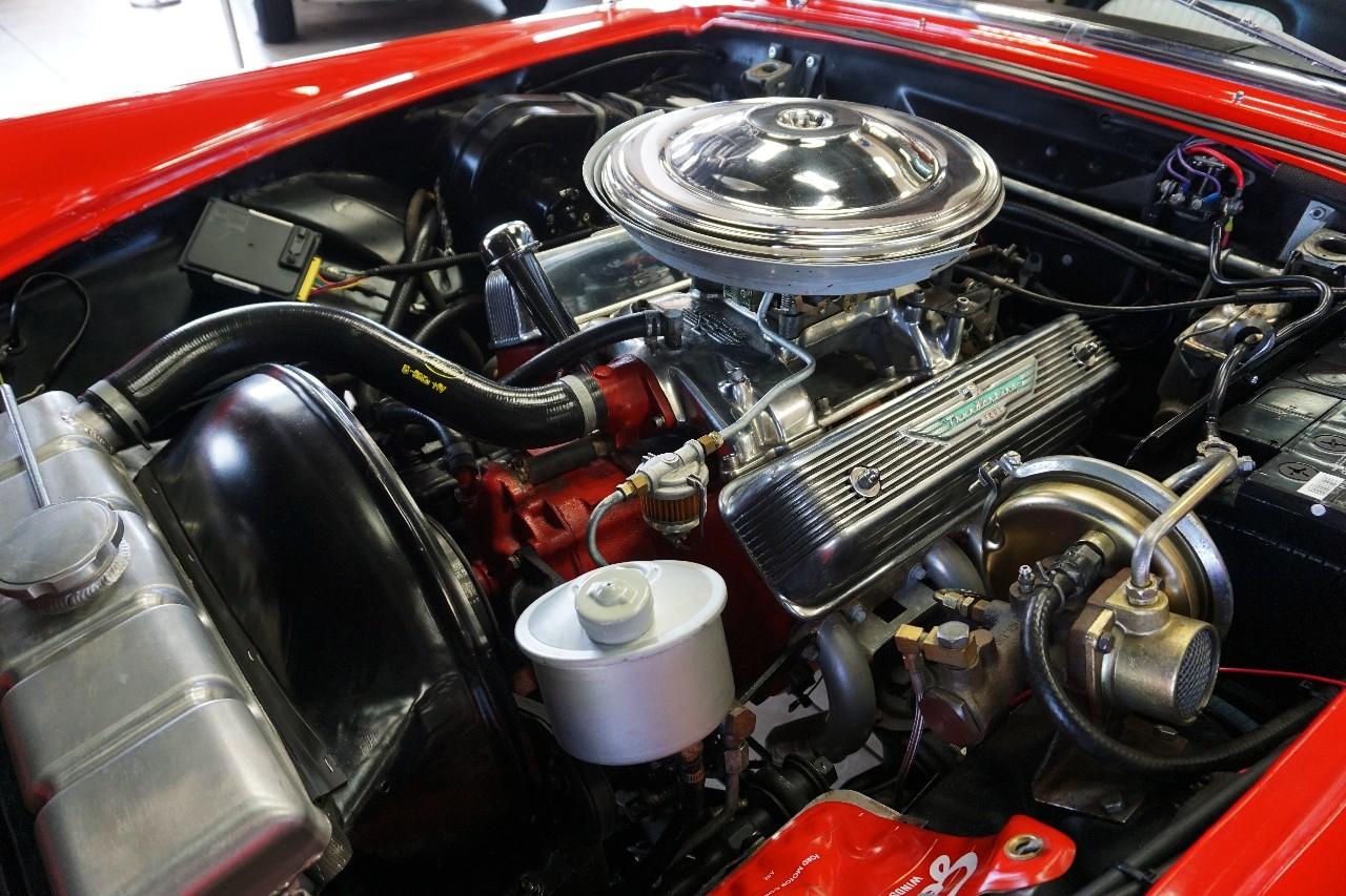 Ford Thunderbird  1955