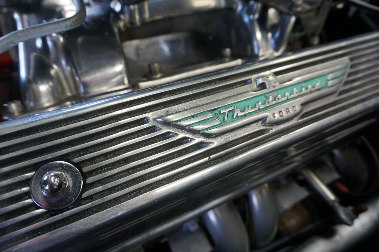 Ford Thunderbird  1955