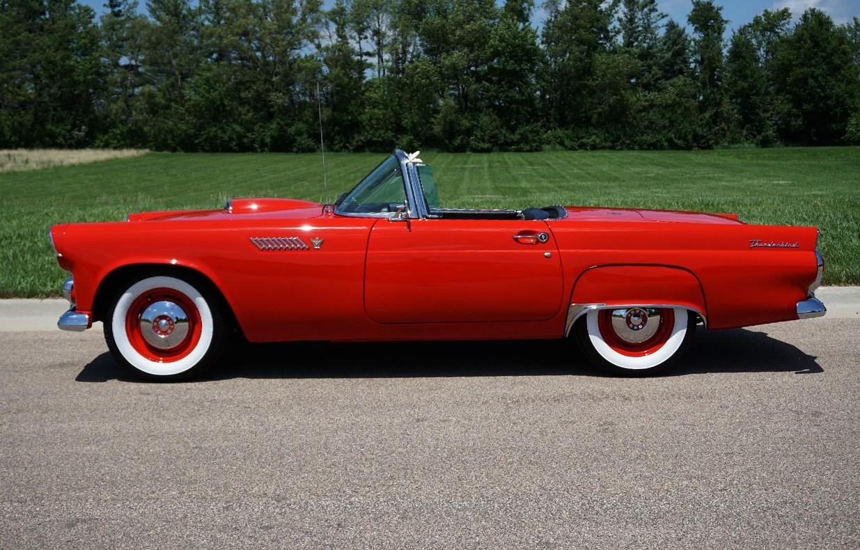 Ford Thunderbird  1955