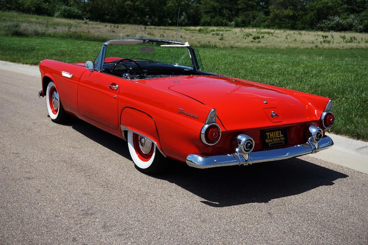 Ford Thunderbird  1955