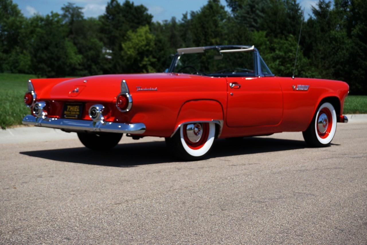 Ford Thunderbird  1955