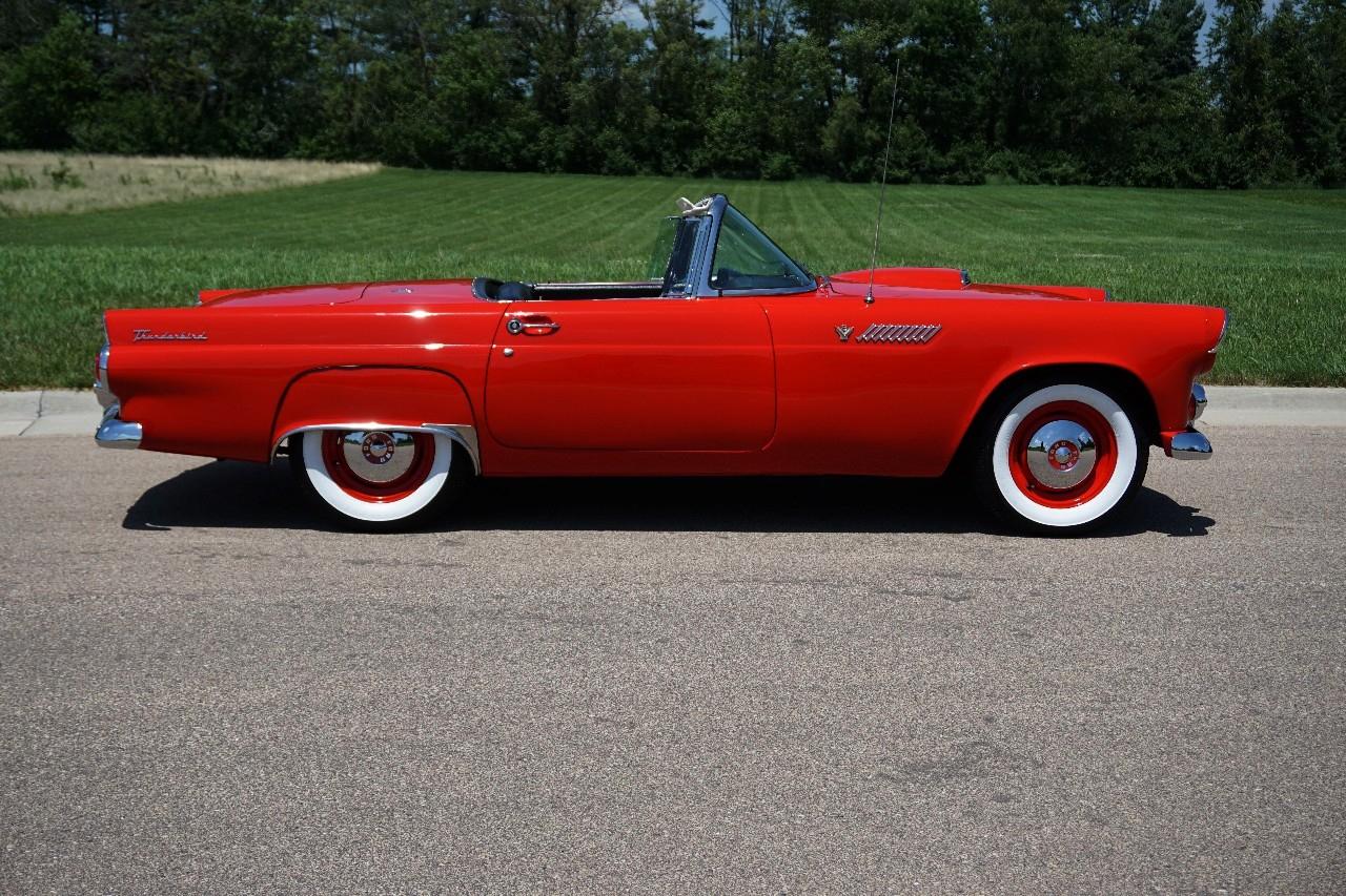 Ford Thunderbird  1955