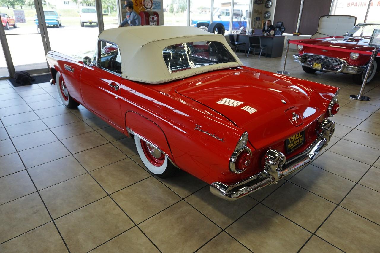 Ford Thunderbird  1955