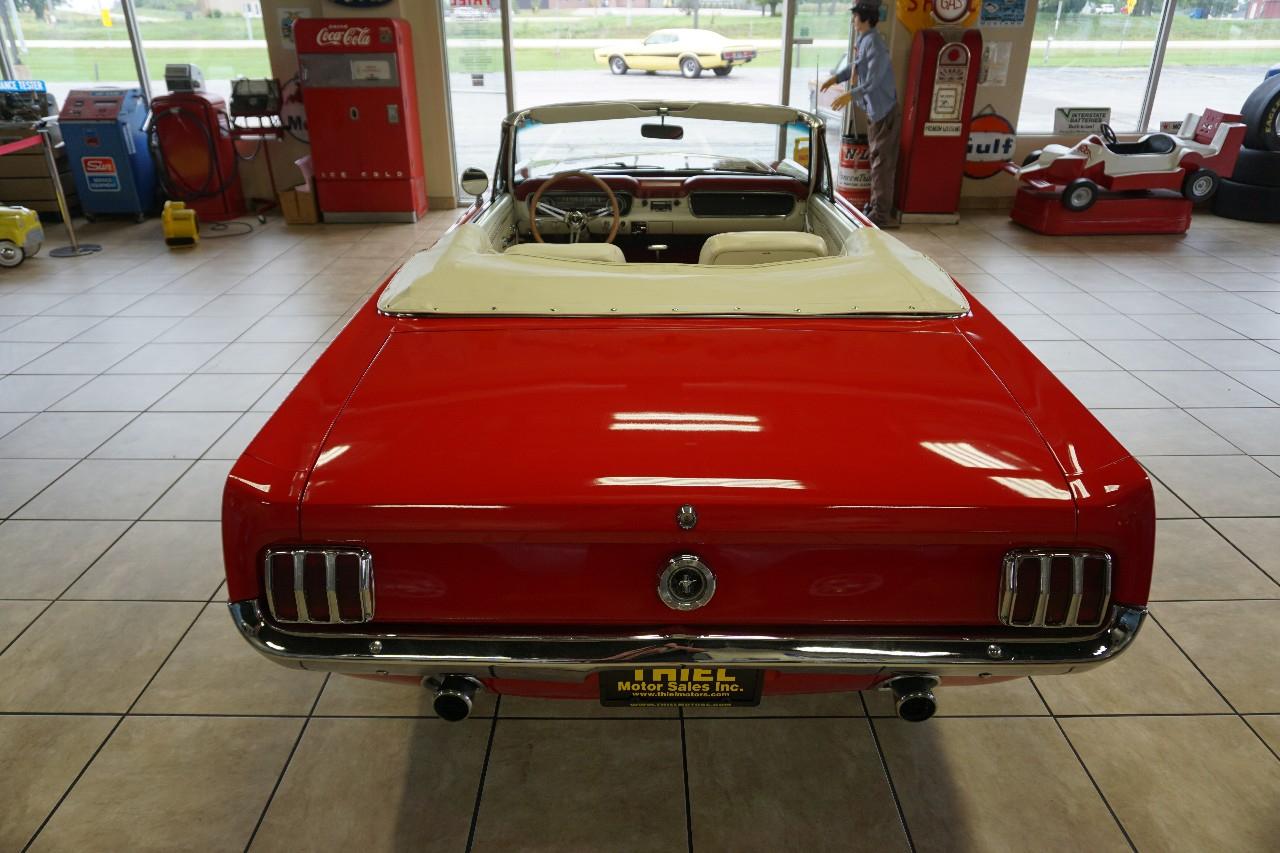 Ford Mustang  1965