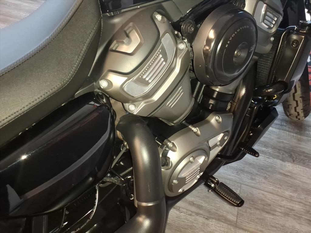 Harley-Davidson Nightster  2022