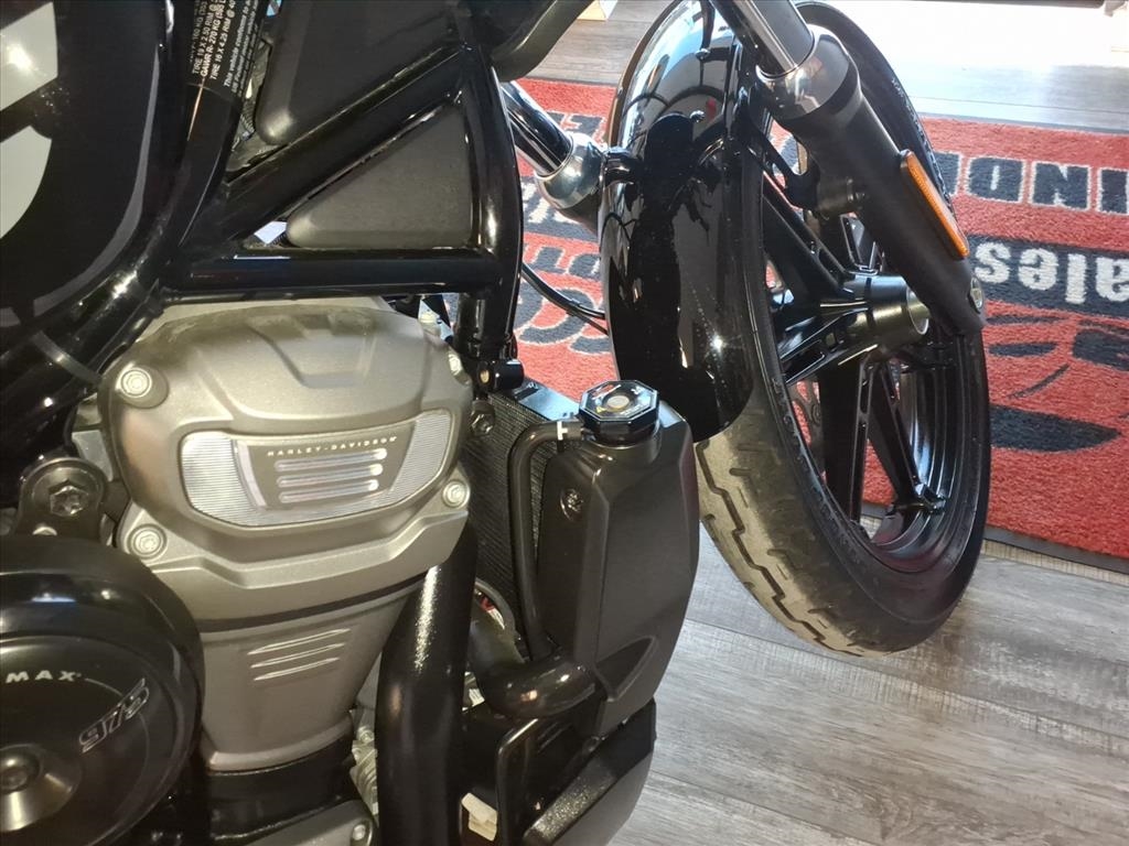 Harley-Davidson Nightster  2022
