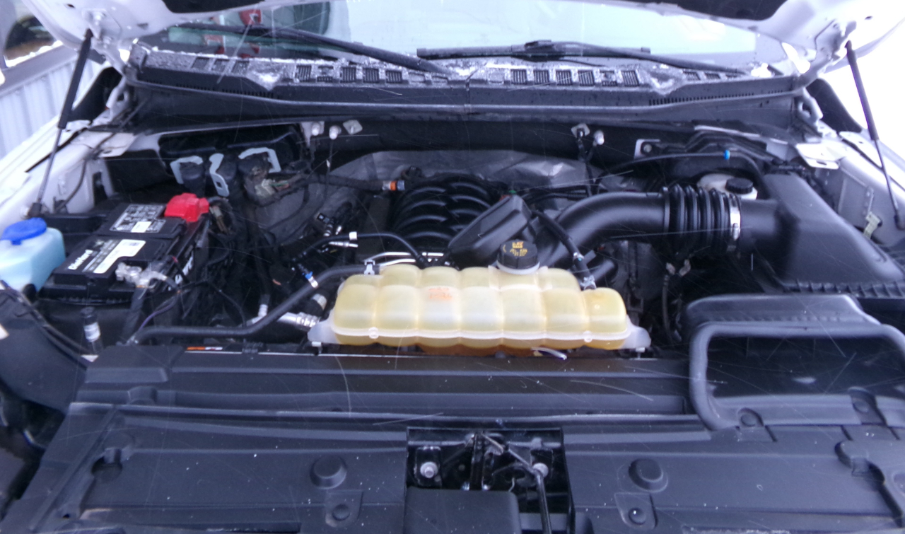 Ford F-150 XLT 4WD SuperCrew 5.5' Box 2019