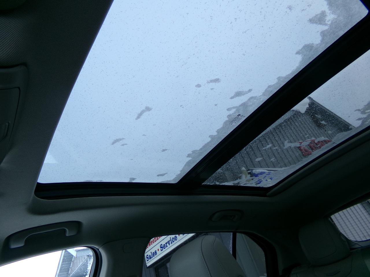 Cadillac XT4 AWD 4dr Premium Luxury 2019