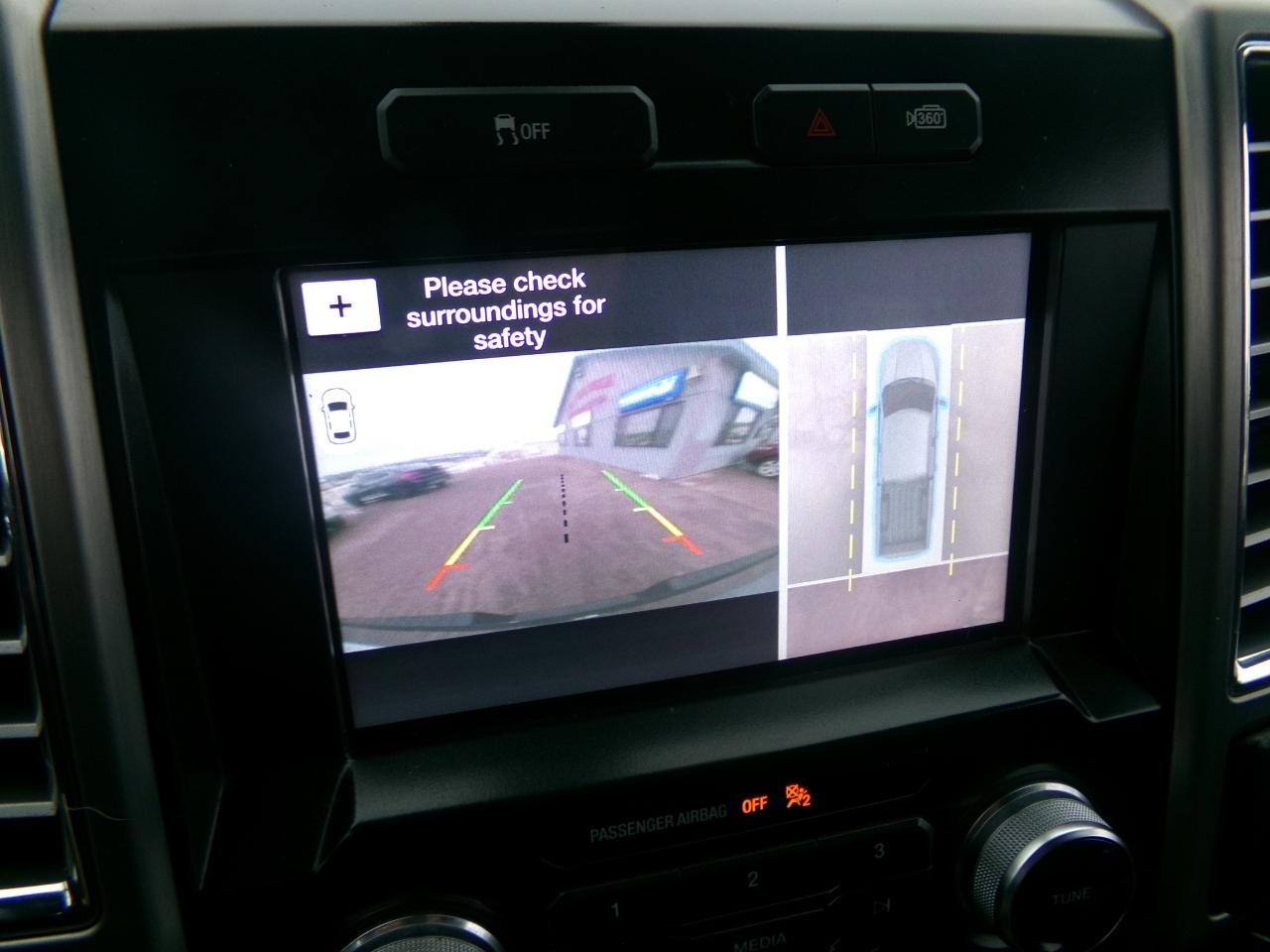 Ford F-150 4WD SuperCrew 145" Platinum 2016