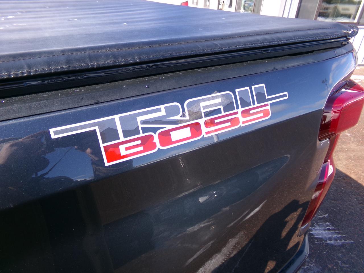 Chevrolet Silverado 1500 4WD Crew Cab 147" Custom Trail Boss 2019