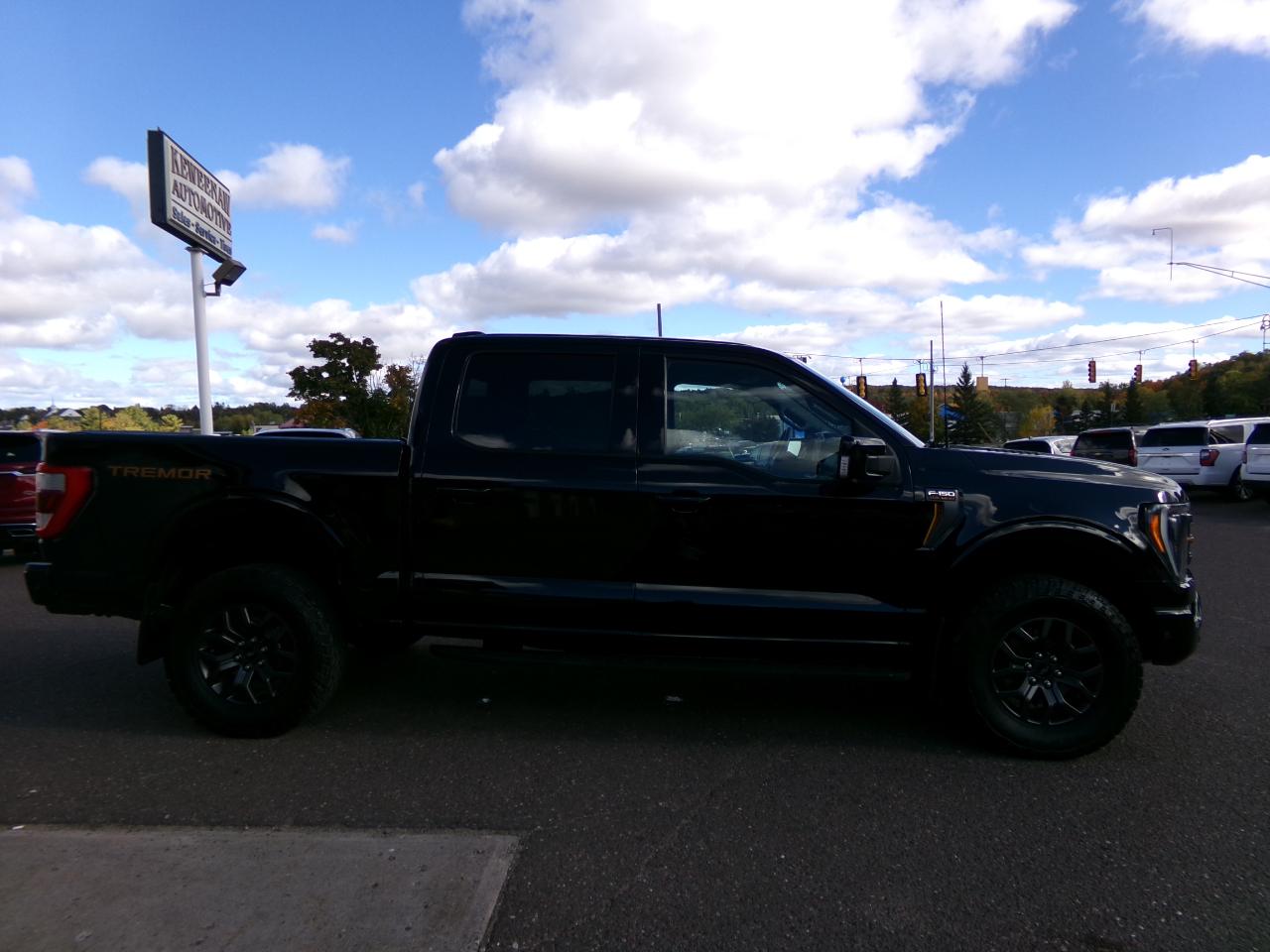Ford F-150 Tremor 4WD SuperCrew 5.5' Box 2022