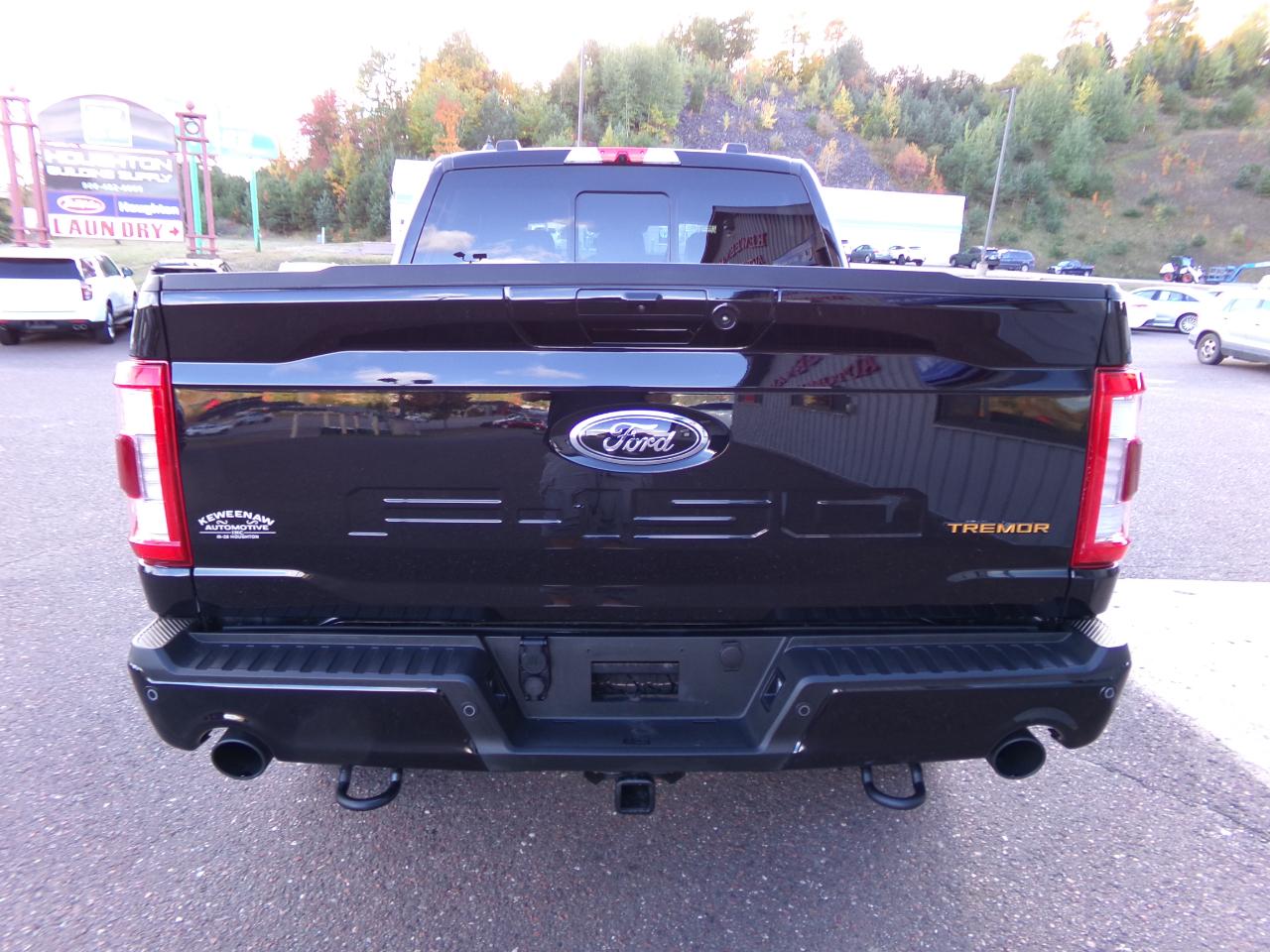 Ford F-150 Tremor 4WD SuperCrew 5.5' Box 2022