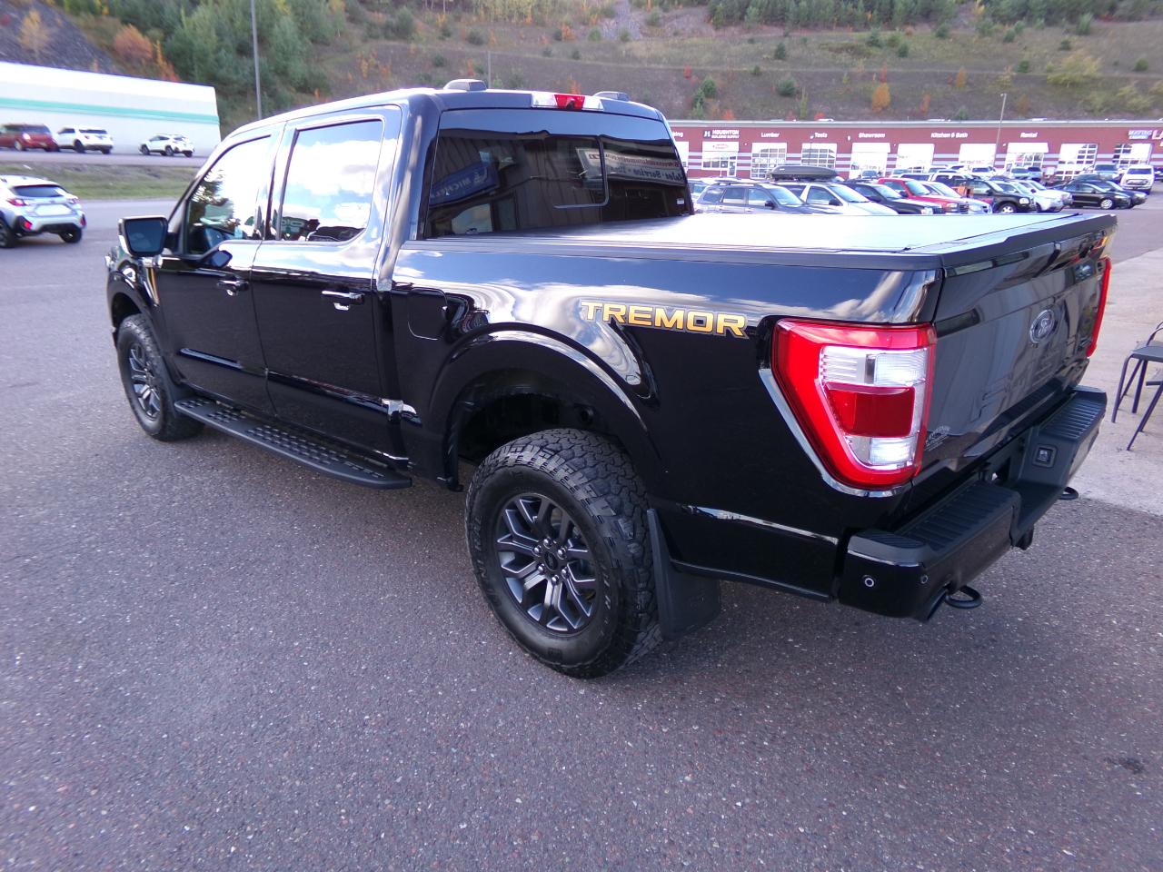 Ford F-150 Tremor 4WD SuperCrew 5.5' Box 2022