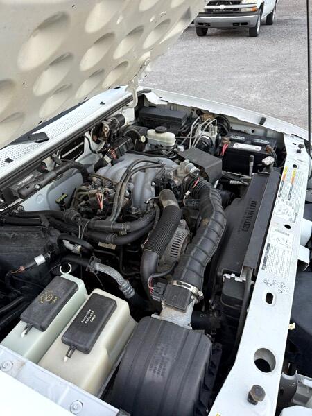 Ford Ranger Regular Cab 2WD 1999 Ford Ranger Regular Cab 2WD 1999