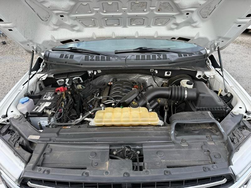 Ford F-150 XL Reg. Cab 2WD 2019