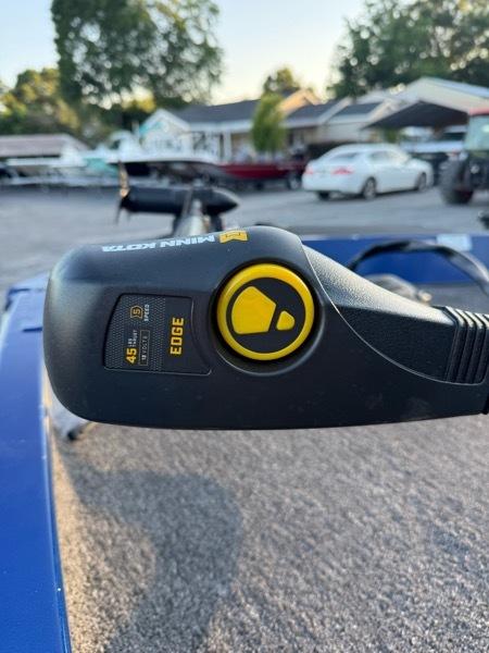 Lowe Stinger  2020
