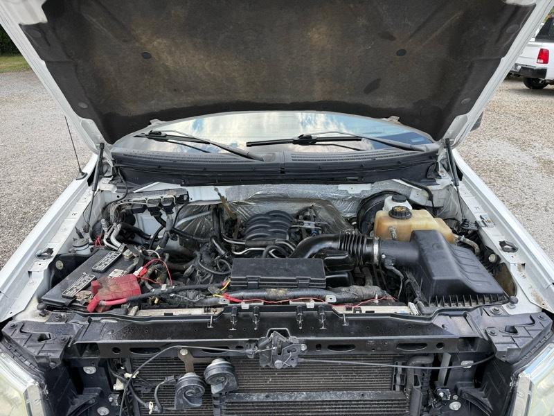 Ford F-150 XL Reg. Cab 2WD 2011